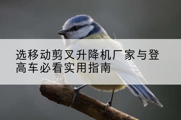 定安电动升降机厂家-选移动剪叉升降机厂家与登高车必看实用指南