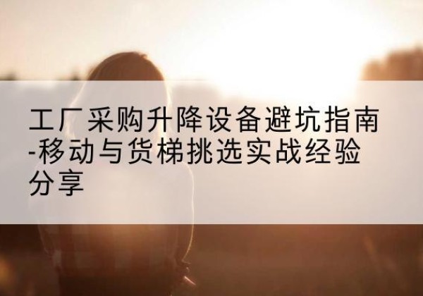 定安移动式升降机怎么选-工厂采购升降设备避坑指南-移动与货梯挑选实战经验分享