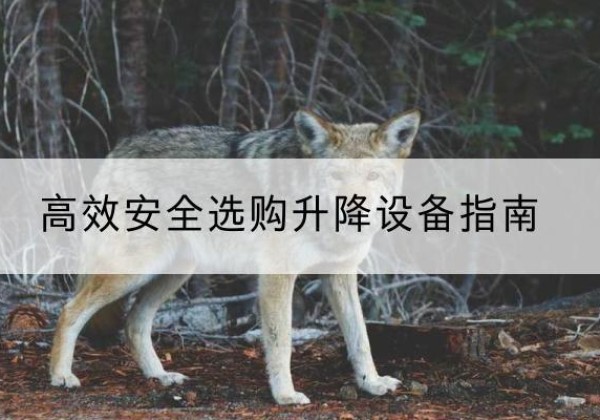 定安升降货梯厂家推荐-*安全选购升降设备指南