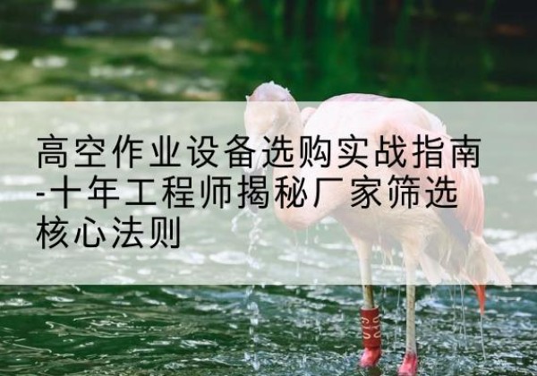 定安剪叉式升降机厂家-高空作业设备选购实战指南-十年工程师揭秘厂家筛选核心法则